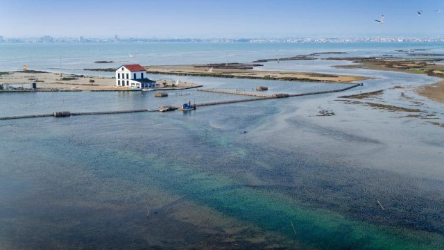 La historia, la vida y la belleza de las Encañizadas de San Javier quedan 'atrapadas' en un documental y un libro