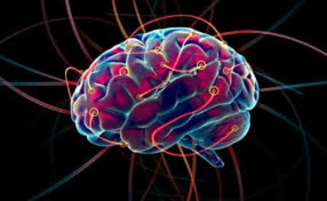 ¿Es posible rejuvenecer el cerebro? 