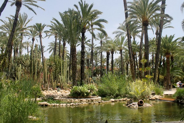 El jardín del Huerto del Cura de Elche incorpora el alemán a su web 