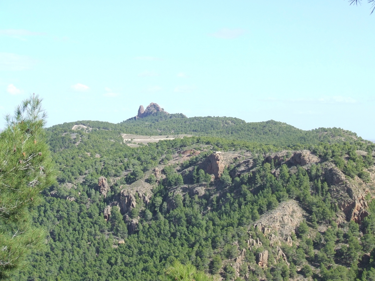 La Región de Murcia inicia el nuevo plan de ordenación de Carrascoy y El Valle con una consulta ciudadana