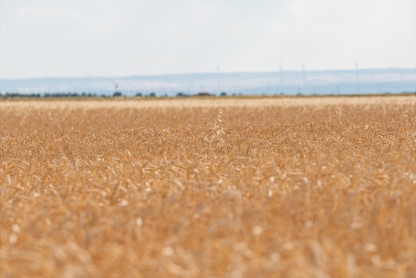 El Gobierno abona 1.081 millones a 98.049 agricultores y ganaderos afectados por las borrascas