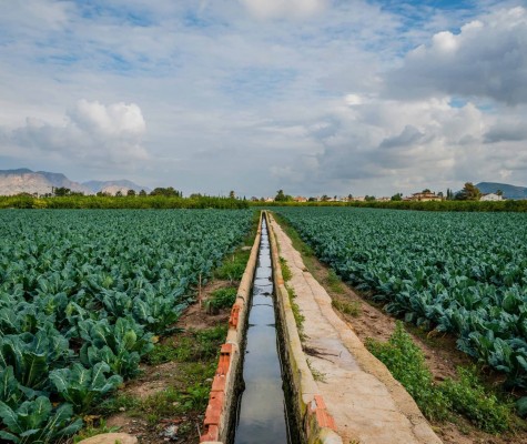 La provincia de Alicante exporta más pese al retroceso de Estados Unidos