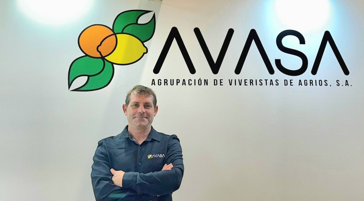 José Cuenca (AVASA): “La entrada de material vegetal de otros países es el mayor riesgo de nuevas plagas en cítricos”