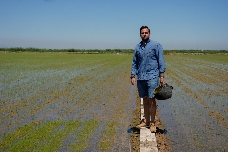 La factura de la guerra en Oriente en el campo valenciano: "Es la campaña más cara de la historia"