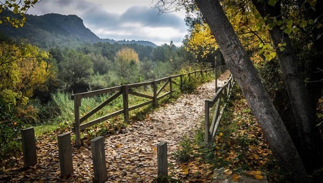 Xàtiva adjudica el proyecto para la creación de un ágora en el Paraje Natural Municipal de la Cova Negra