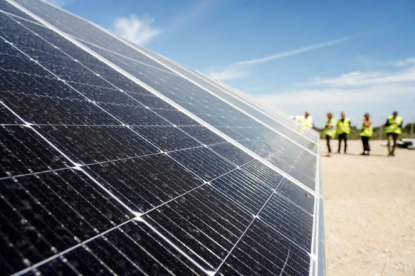 Temor entre colectivos del Camp d'Elx por la simplificación del Consell: agiliza las fotovoltaicas