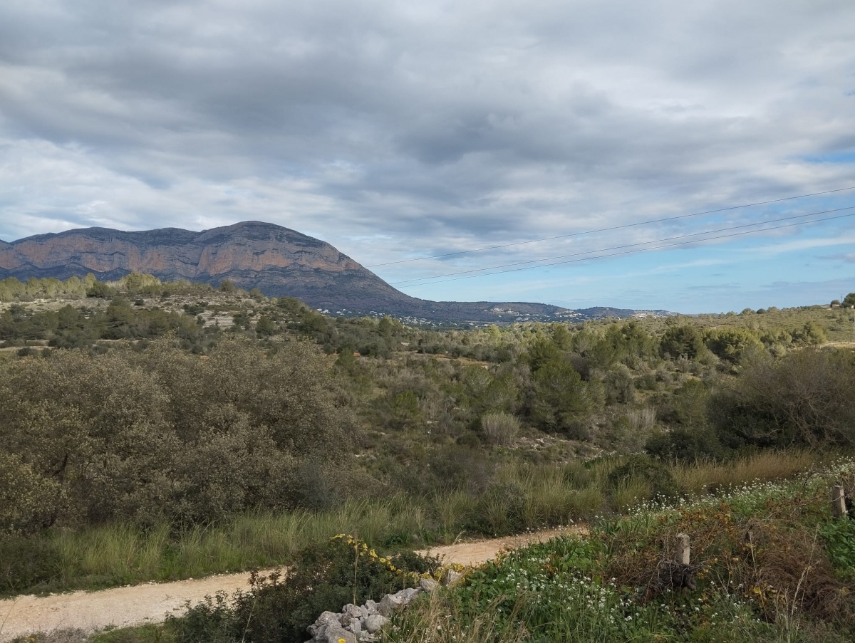 Desiste la empresa que proyectó dos plantas fotovoltaicas con almacenamiento en Xàbia