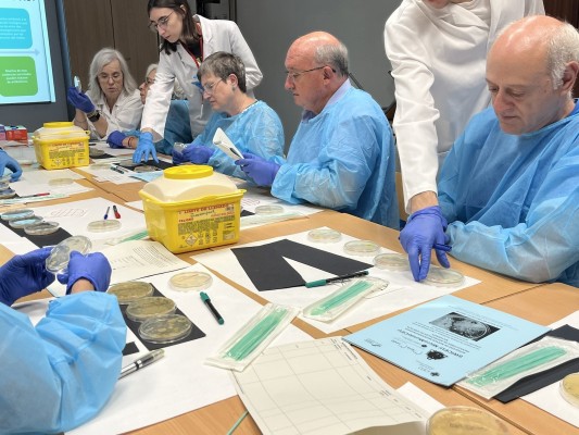 Vecinos de Cheste aislan dos microorganismos con capacidad antibiótica en un proyecto ciudadano