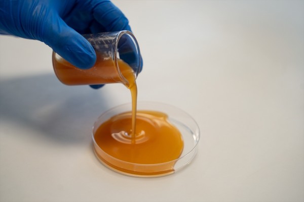 Itene crea ingredientes innovadores para cosmética y detergencia a partir de residuos de aguacate, tomate o uva