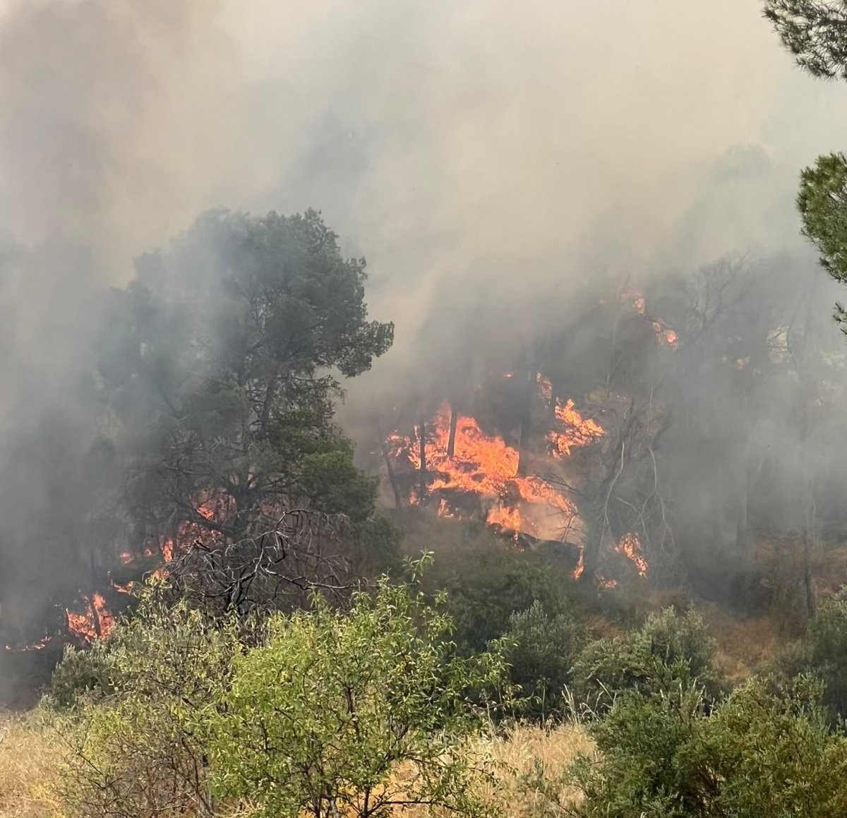 El Miteco envía al incendio forestal de Los Garres una aeronave, dos aviones Alfa, un hidroavión y un helicóptero