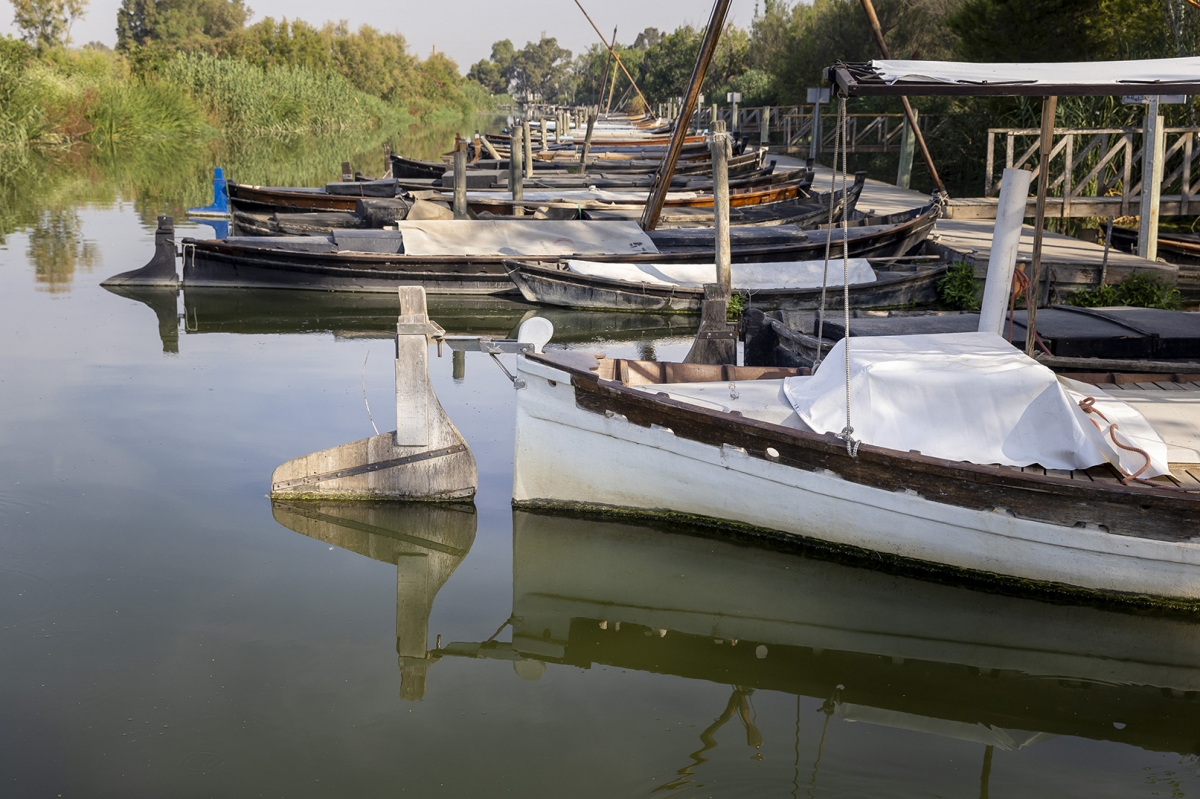  - Foto: MARGA FERRER