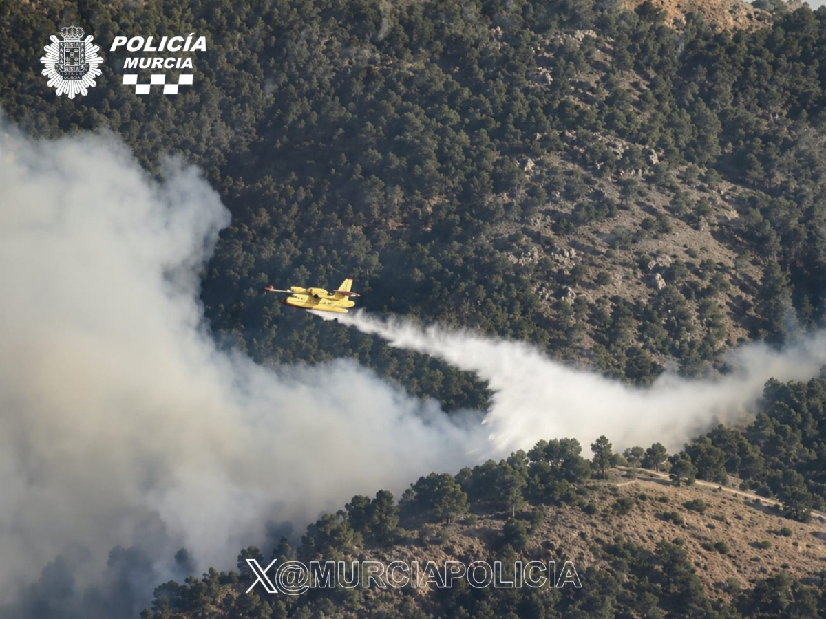  - Foto: POLICÍA LOCAL