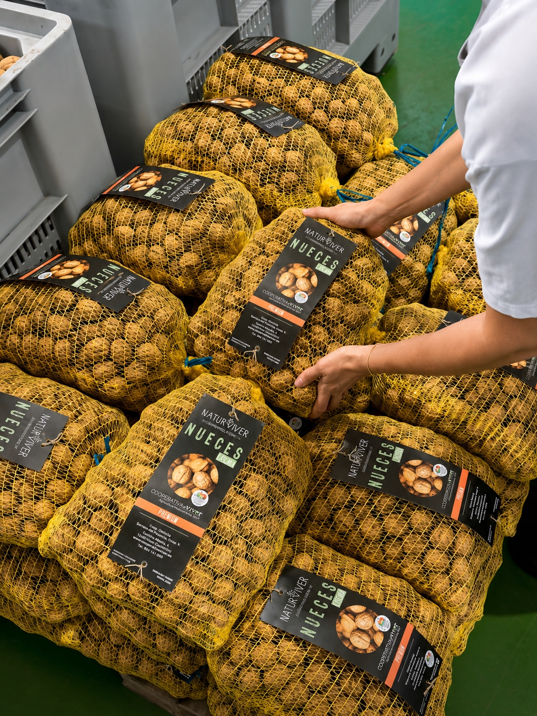 Nueces de la Cooperativa de Viver. - Nueces de la Cooperativa de Viver.