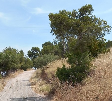 Vecinos de la pedanía murciana de Torreagüera entregan 650 firmas para salvar la Cañada Real