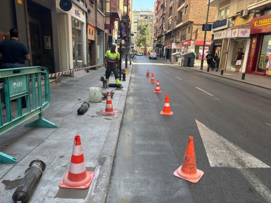Murcia suma un nuevo corredor verde en la calle Puerta Nueva con limoneros y árboles orquidea