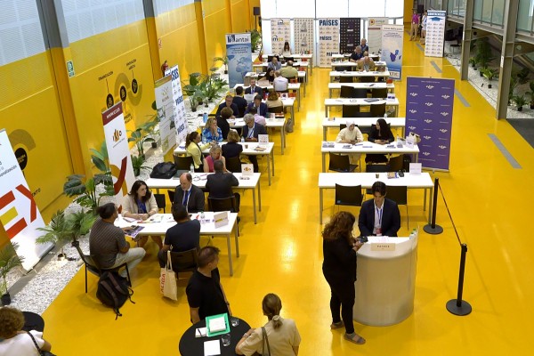 Elche reúne a empresas e instituciones para impulsar la internacionalización con Imex