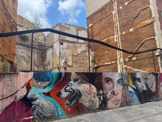 MC denuncia una plaga de bichos bola y el abandono de la calle San Fernando