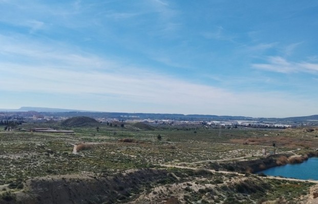 El 'sueño' ecologista: renaturalizar Rabasa como la 'Casa de Campo' de Alicante con 1,5 millones
