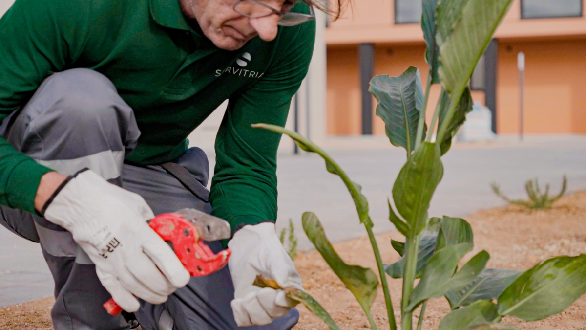 Grupo Cyclus acelera su transformación sostenible con innovación, construcción certificada y gobernanza