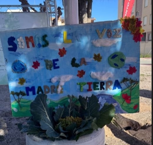 Premian los proyectos sostenibles de los colegios Francisco Noguera Saura y La Cruz y los institutos Ajada y José Planes