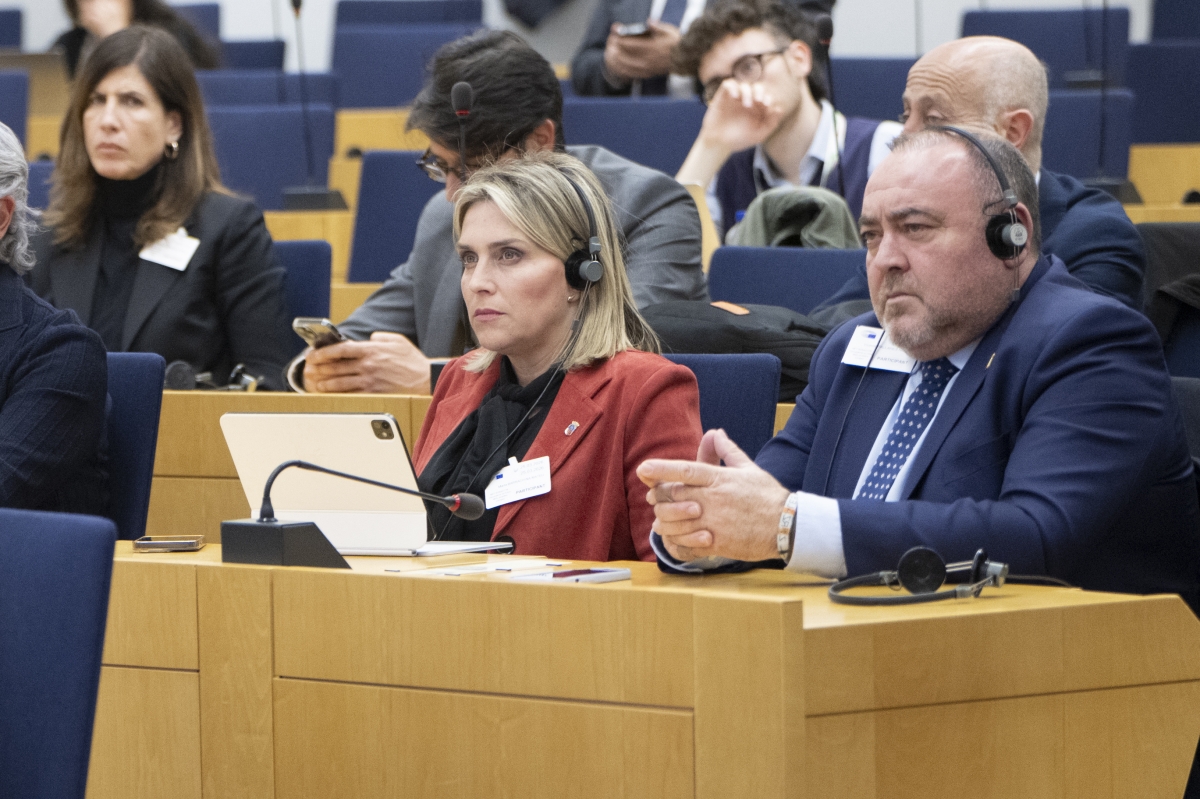 La Diputación de Castellón presenta alegaciones en Bruselas 
