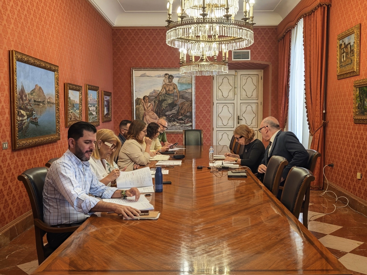 Los miembros de la comisión de fiscalización sobre las VPP de Alicante.