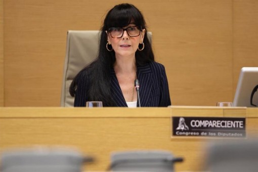 La Sepi ganó 130 millones en 2025 y logró una cifra de negocios récord de 7.384 millones