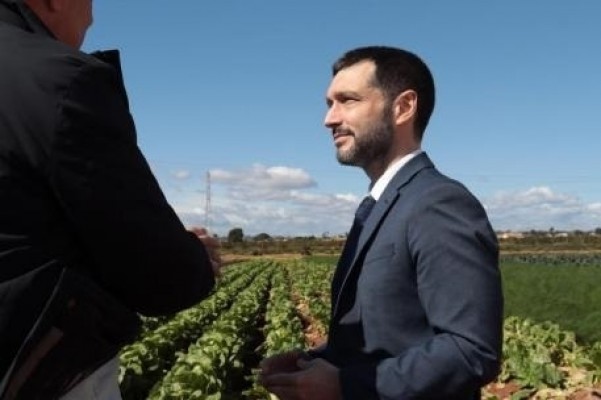 El Gobierno insta al Consell a 