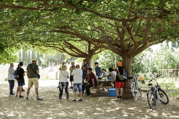 Los huertos urbanos de Paiporta vuelven a llenarse de vida