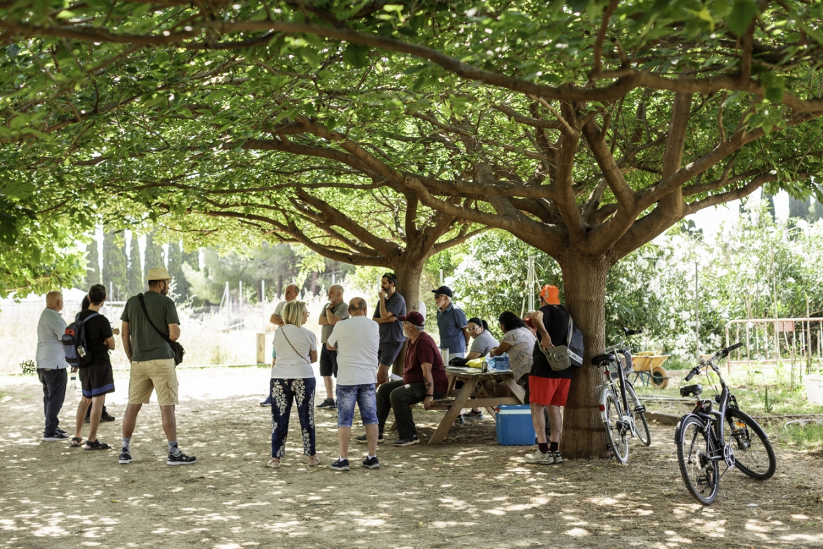 Comarca y empresa | Los huertos urbanos de Paiport