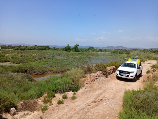 La Diputación refuerza los tratamientos de control de mosquitos en los marjales de Castelló o Cabanes