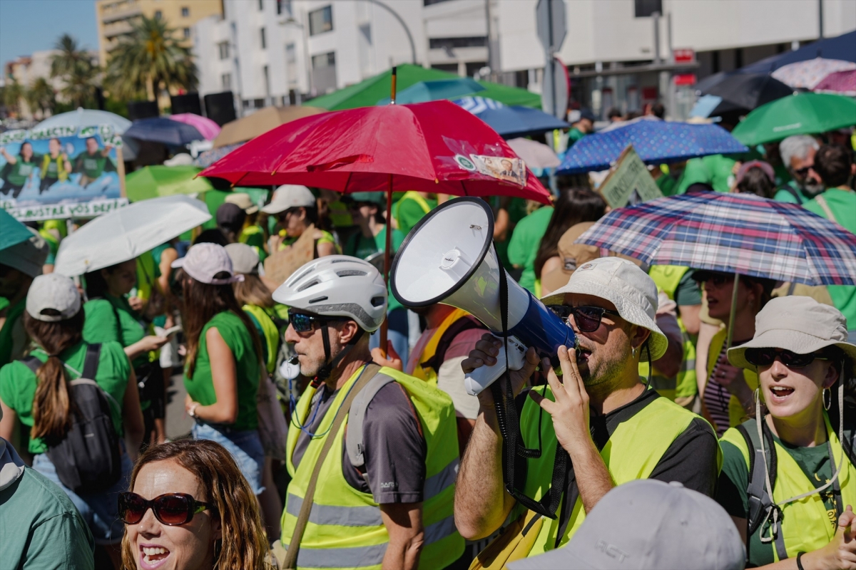Educación | El Senado rechaza, con la mayoría del 