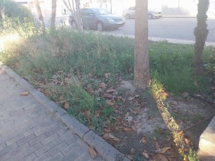 Los vecinos de La Aljorra denuncian maleza, baches y calles 'prácticamente impracticables'