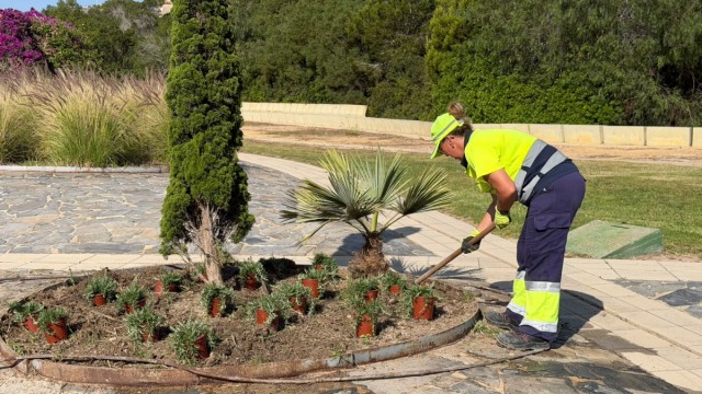 Torrevieja refuerza el Parque Aromático con nuevas plantaciones y mejoras en el sistema de riego