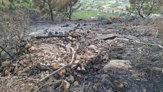 Huermur denuncia ante la Fiscalía para que investigue los orígenes del incendio forestal de Los Garres