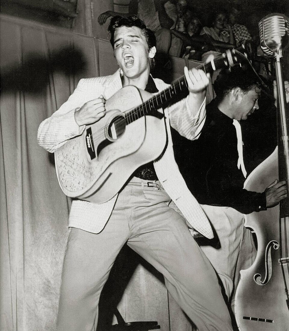 El libro que explica que el punk nació en 1956 con Elvis