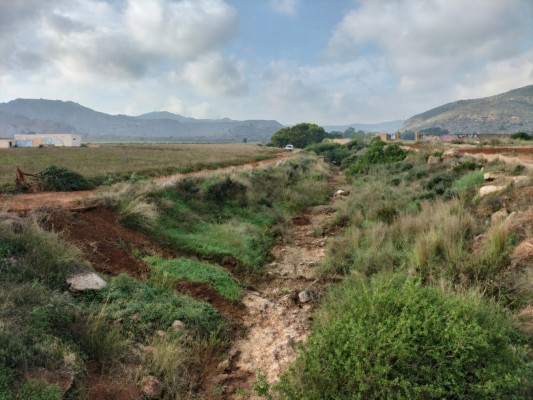 Adjudican las obras para restaurar el barranco de Ponce y la rambla de Carrasquilla por 6,8 millones