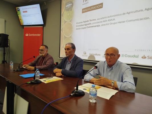 Innovar o perder competitividad: el reto que afronta la citricultura valenciana