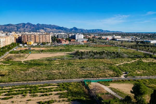 La fase inicial del futuro Censal Parc de Castelló: la UTE del grupo Simetría apunta a ejecutar los trabajos