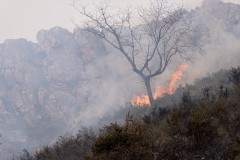 La Aemet sitúa en nivel muy alto el riesgo de incendios en parte de la Región