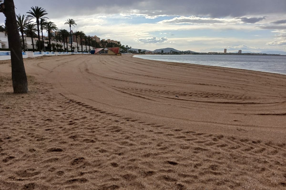 ¿Cómo está tu playa? El Mar Menor busca miles de observadores este verano