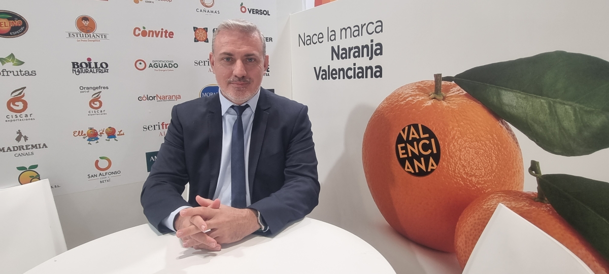 La IGP sitúa la promoción y la diferenciación en el centro de la batalla por el futuro de los cítricos valencianos
