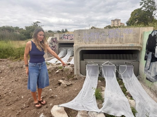 Elda instala nuevas redes en el Vinalopó para frenar la llegada de toallitas al cauce