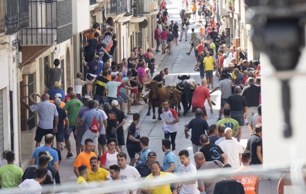 Luz verde al decreto de 'bous al carrer' con inspecciones periódicas, veterinarios de guardia y prohibición de móviles