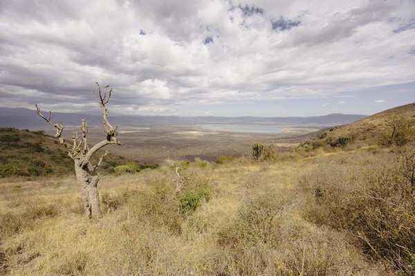 Ngorongoro, un lugar único en Tanzania