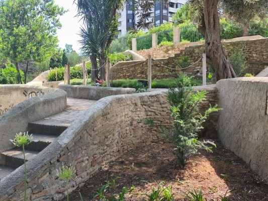 La Generalitat y el Ayuntamiento de València colaboran para recuperar el tejo en los Jardines del Real