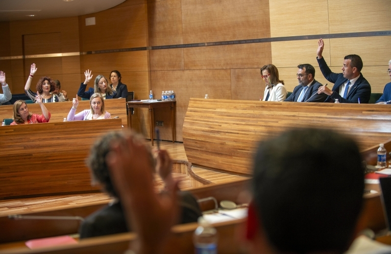 El pleno de la Diputación, este martes, presidido por Mompó. - Foto: DIVAL/ R. ABULAILA El pleno de la Diputación, este martes, presidido por Mompó.