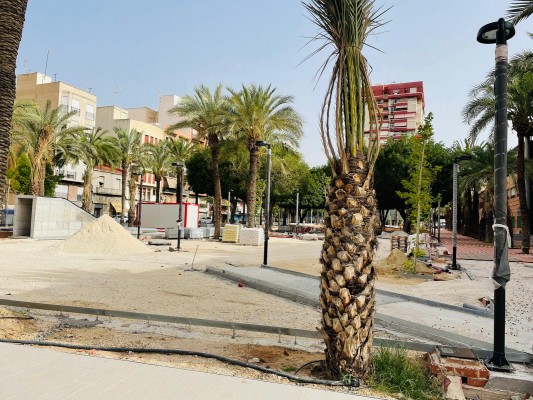 El PSOE de Elche pide explicaciones a Ruz por la paralización de semanas de las obras en Germanías