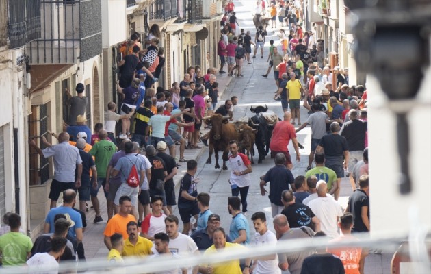 Los veterinarios advierten que el nuevo decreto de bous al carrer no garantiza el bienestar animal en todos los festejos  