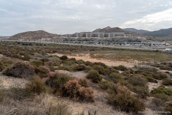 Cartagena reclama el inicio inmediato de la Ciudad de la Justicia tras obtener el visto bueno de Carreteras